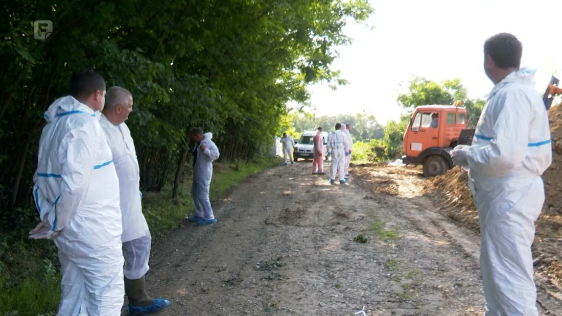 ZDK: Potvrđena afrička svinjska kuga, ne postoji opasnost za ljude